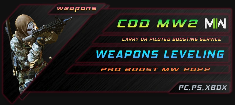 MW 2 Weapons Level